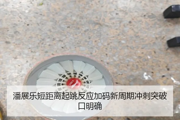 潘展乐短距离起跳反应加码新周期冲刺突破口明确